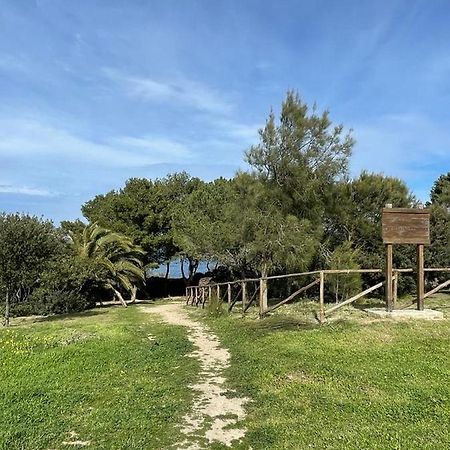Appartamento La Tramontana Porto Torres Zewnętrze zdjęcie